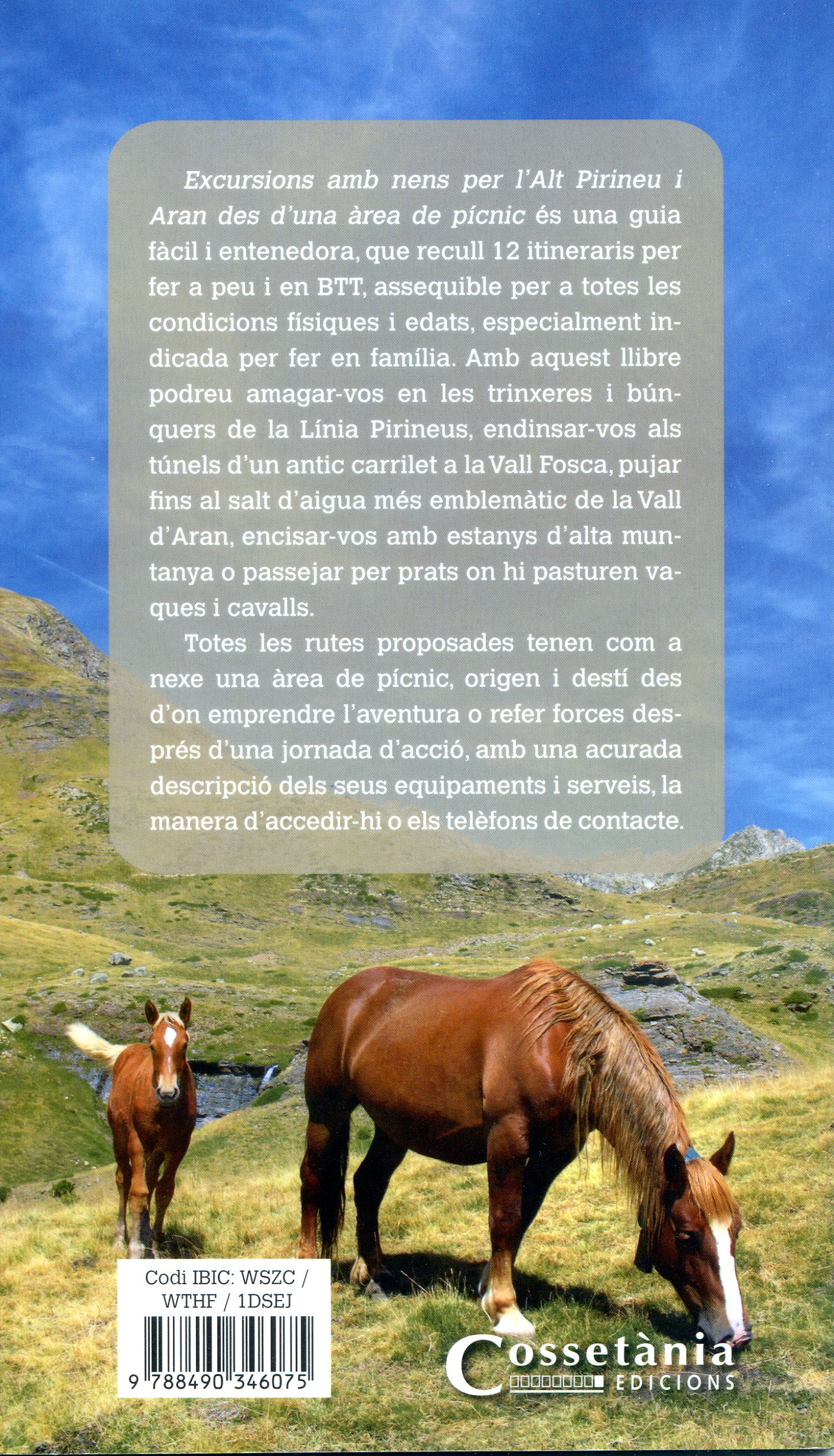 Excursions amb nens per l'Alt Pirineu i Aran des d'una àrea de pícnic - Miniatura 2